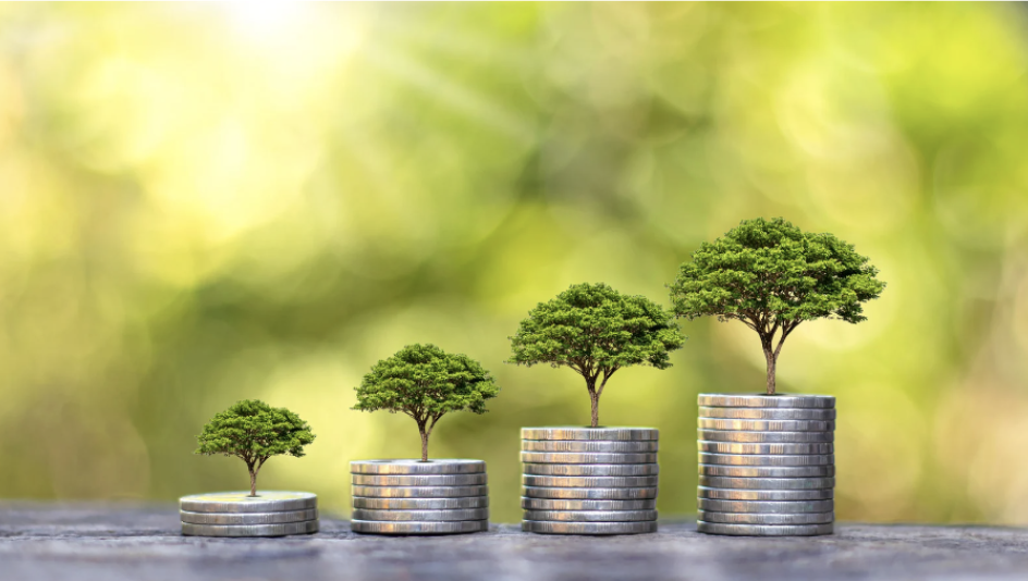 franchise owner diversifies investment